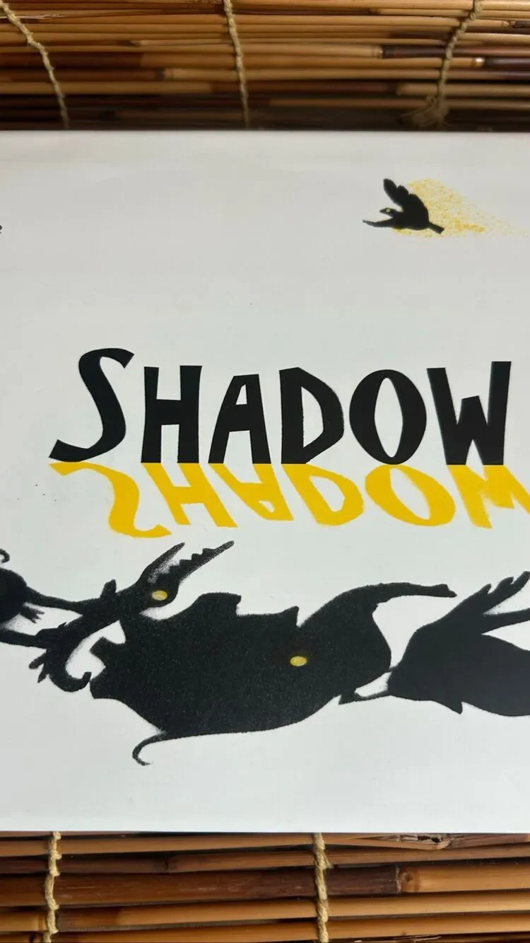 Shadow Suzy Lee Hardback Book